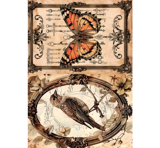 Assortiment de soies de paille à motifs « Beautés de la nature »