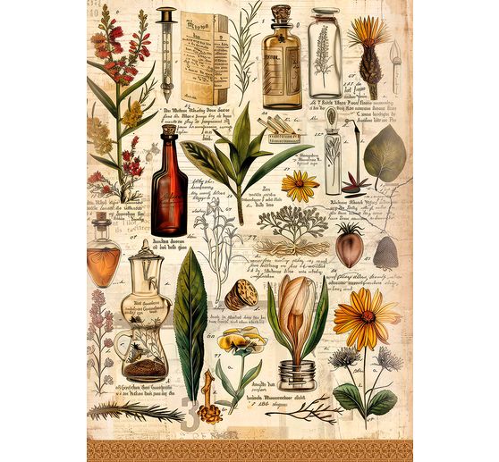 Assortiment de soies de paille à motifs « Beautés de la nature »