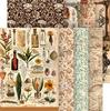 Assortiment de soies de paille à motifs « Beautés de la nature »