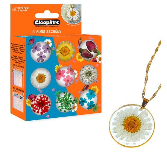 Assortiment de fleurs séchées, 9 pots