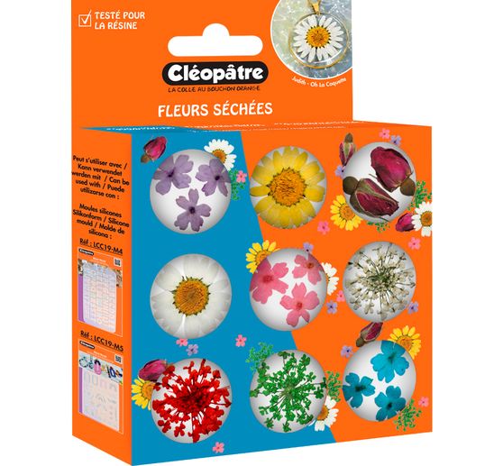 Assortiment de fleurs séchées, 9 pots