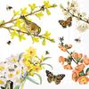 Serviette « Lovely Springtime »