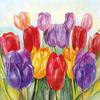 Napkin "Colourful Tulips"