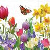 Serviette « Spring Feeling »