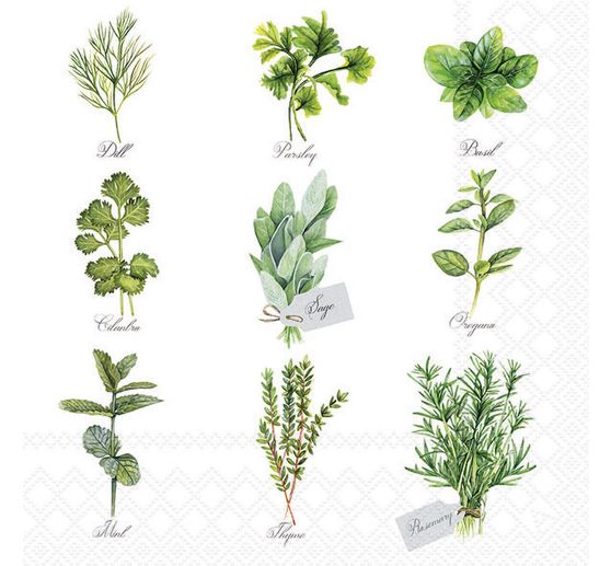Serviette « Sélection d'herbes aromatiques »