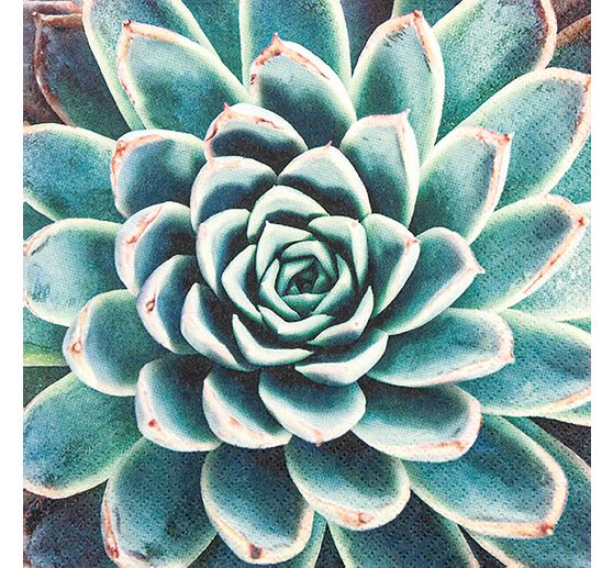 Serviette « Rêve de succulentes »