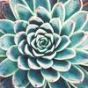 Serviette « Rêve de succulentes »