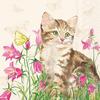 Serviette « Minka le chat »