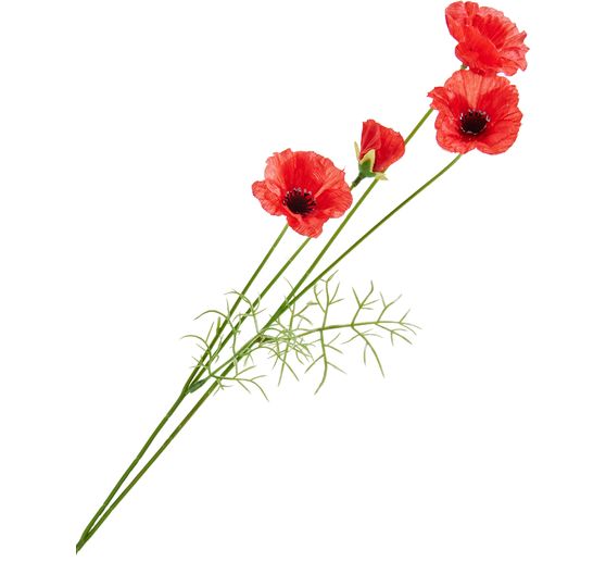 Tige de coquelicot à 4 fleurs