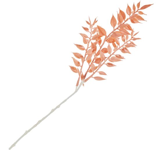 Pique de ruscus