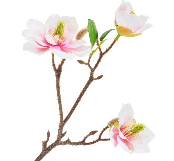 Pique de magnolia à 3 fleurs