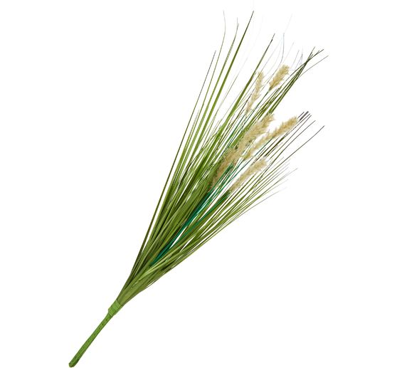 Herbe avec infrutescence