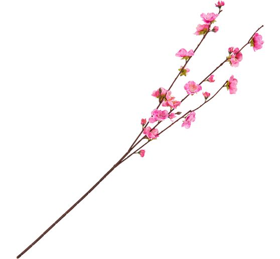 Branche de fleurs de cerisier
