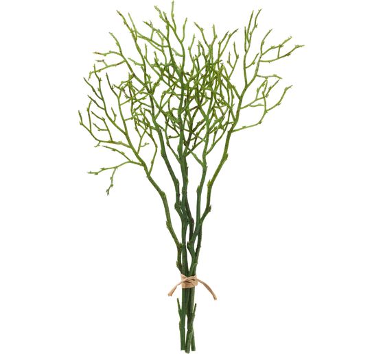 Branche de myrtille, 3 pièces