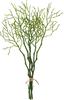 Blueberry branch, 3 pieces
