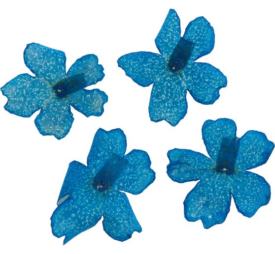 Assortiment de fleurs séchées, 9 pots