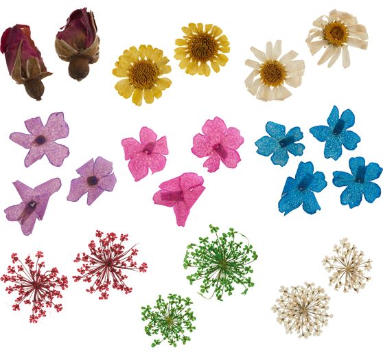 Assortiment de fleurs séchées, 9 pots