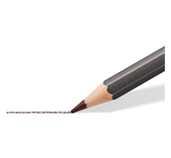 Crayons aquarellables teintés Staedtler, set de 12