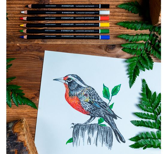 Staedtler Lumocolor permanent Crayon de couleur