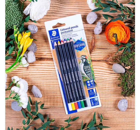 Staedtler Lumocolor permanent Crayon de couleur