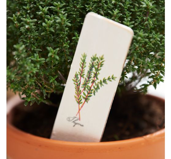 Serviette « Sélection d'herbes aromatiques »