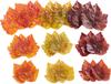 Feuilles d'automne