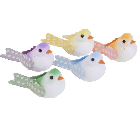 Oiseaux VBS « Klara »