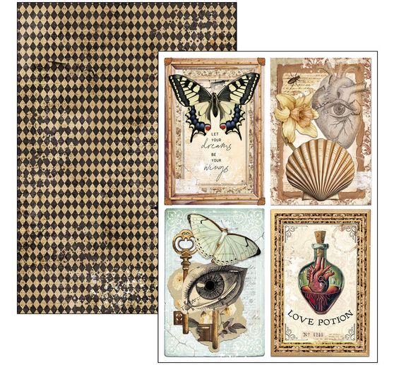 Assortiments de papiers "Cabinet of Curiosities"