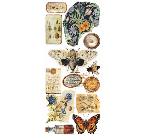 Art Stickers "Cabinet of Curiosities"