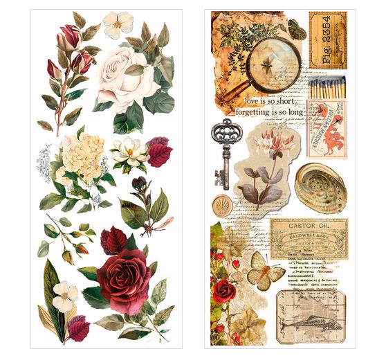 Art Stickers "Cabinet of Curiosities"