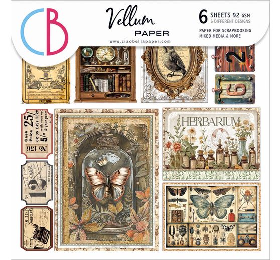 Papier vitrail à motifs "Cabinet of Curiosities"