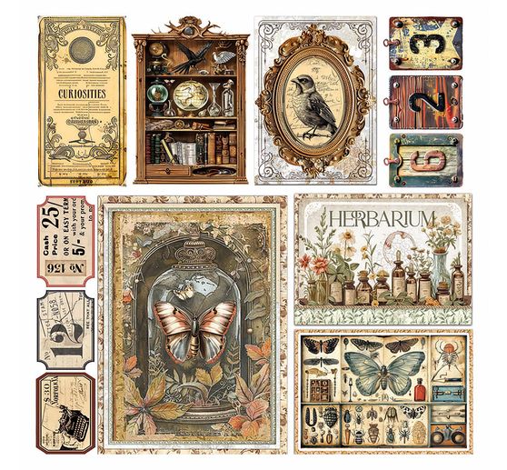 Papier vitrail à motifs "Cabinet of Curiosities"