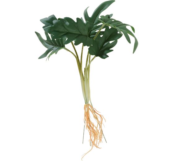Philodendron bush