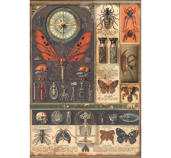 Assortiment de soies de paille à motifs "Carbinet of Curiosities", set de 8 pièces