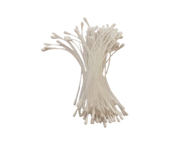 Étamines "Stamens