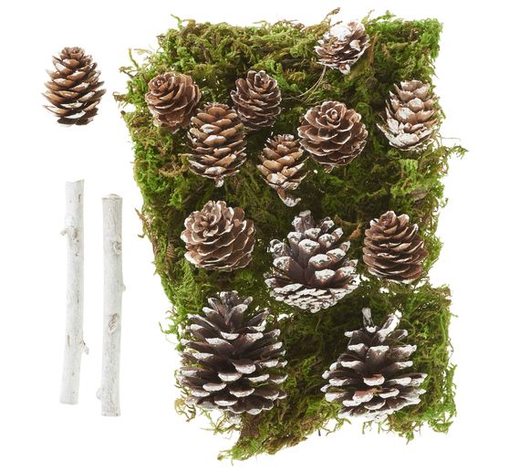 Pot-pourri VBS « Forêt »