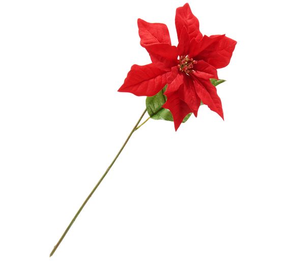 Tige de poinsettia « Gloria », L 45 cm