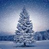 Serviette « Magic Tree »