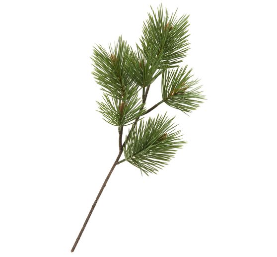 Branche de pin « Doro »