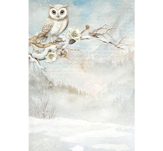 Soie de paille à motifs backgrounds « The Owl's House »