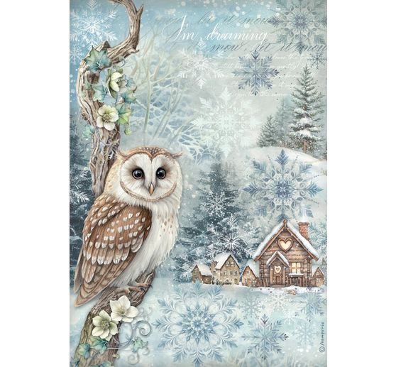 Assortiment de soies de paille à motifs « The Owl's House »