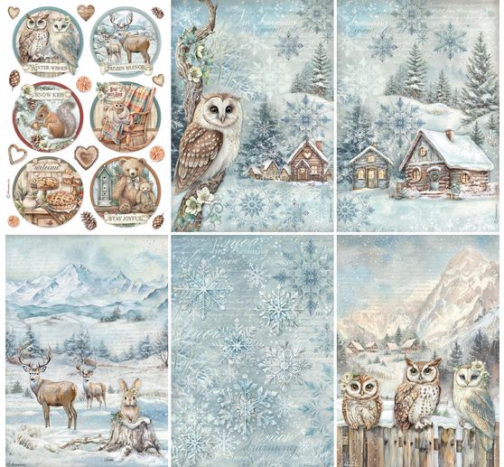 Assortiment de soies de paille à motifs « The Owl's House »