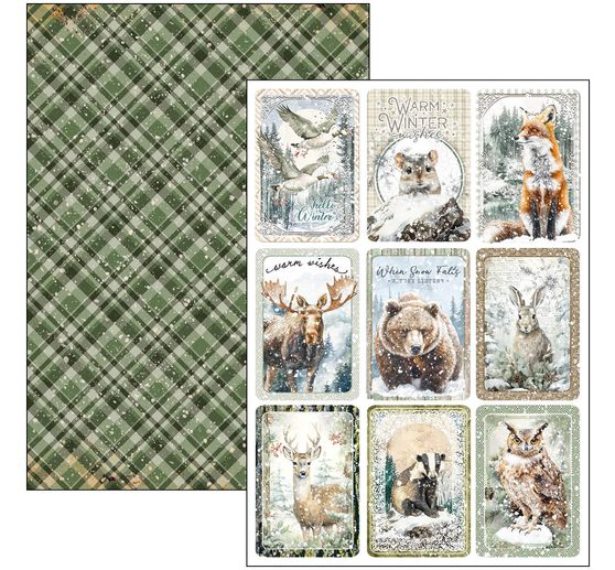 Assortiment de papiers « Forest Tales »