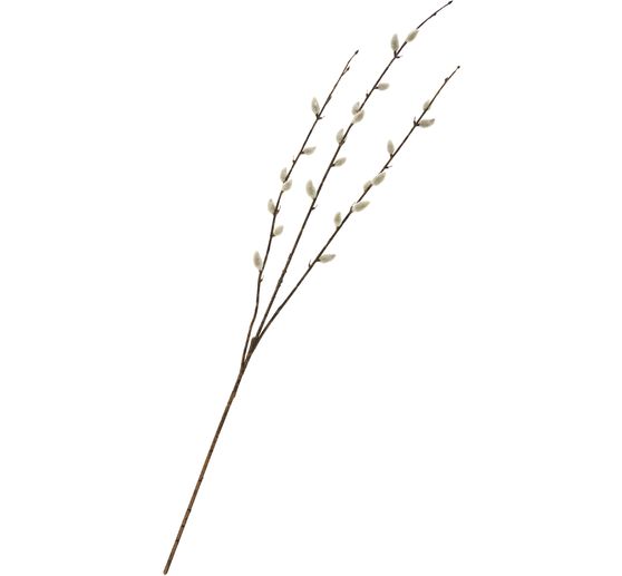 Branche de chatons de saule &laquo; Cream &raquo;
