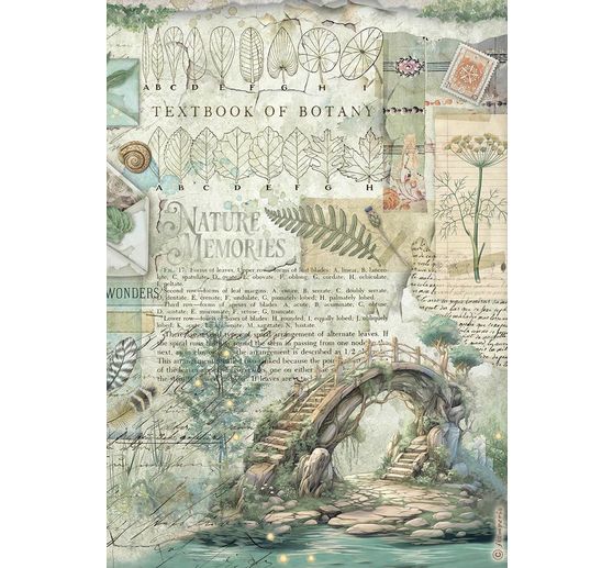 Assortiment de soies de paille à motifs « Herbarium Silvae », set de 6 pièces