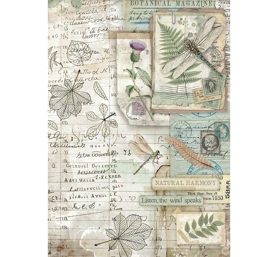 Assortiment de soies de paille à motifs « Herbarium Silvae », set de 6 pièces