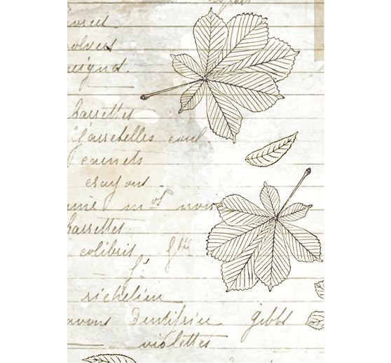 Soie de paille à motifs backgrounds « Herbarium Silvae », set de 8 pièces