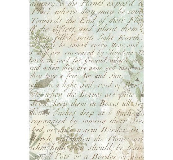 Soie de paille à motifs backgrounds « Herbarium Silvae », set de 8 pièces