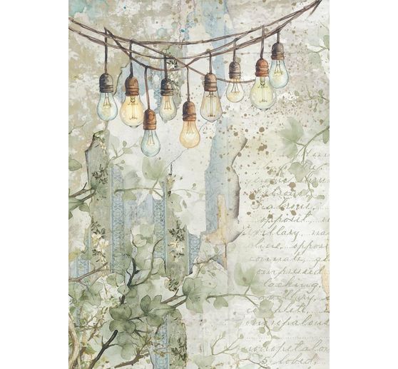 Soie de paille à motifs backgrounds « Herbarium Silvae », set de 8 pièces