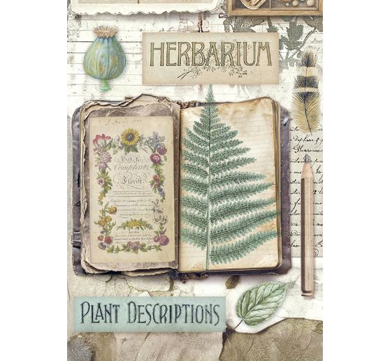 Assortiment de soies de paille à motifs « Herbarium Silvae », set de 8 pièces